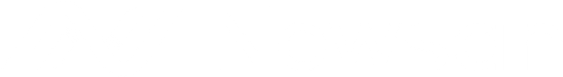 Logo de Newsan